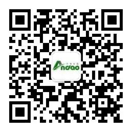 177745581220148
